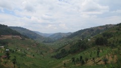 IMG 7156