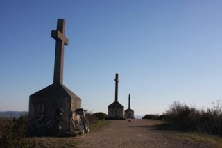 IMG 7781